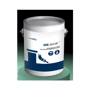 MS NOW CANADA RUBBER  6 KG